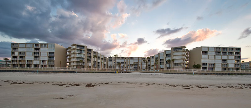 The Pelican Of New Smyrna Beach